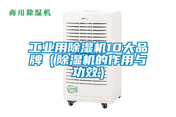 工業用除濕機10大品牌（除濕機的作用與功效）