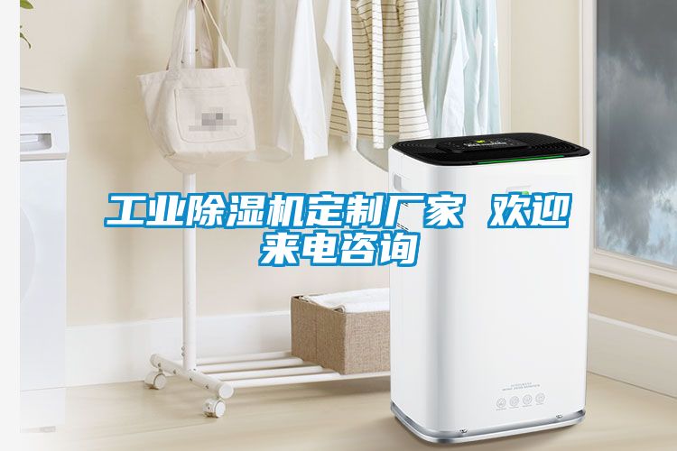 工業(yè)除濕機(jī)定制廠(chǎng)家 歡迎來(lái)電咨詢(xún)
