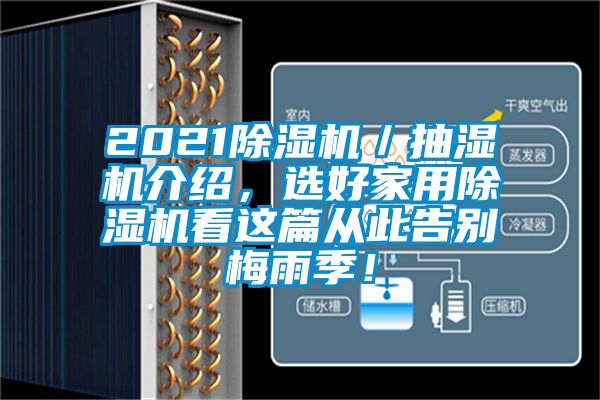 2021除濕機／抽濕機介紹，選好家用除濕機看這篇從此告別梅雨季！